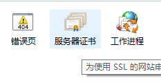 Certbot 申请 Let’s Encrypt 泛域名证书 用于Windows IIS
